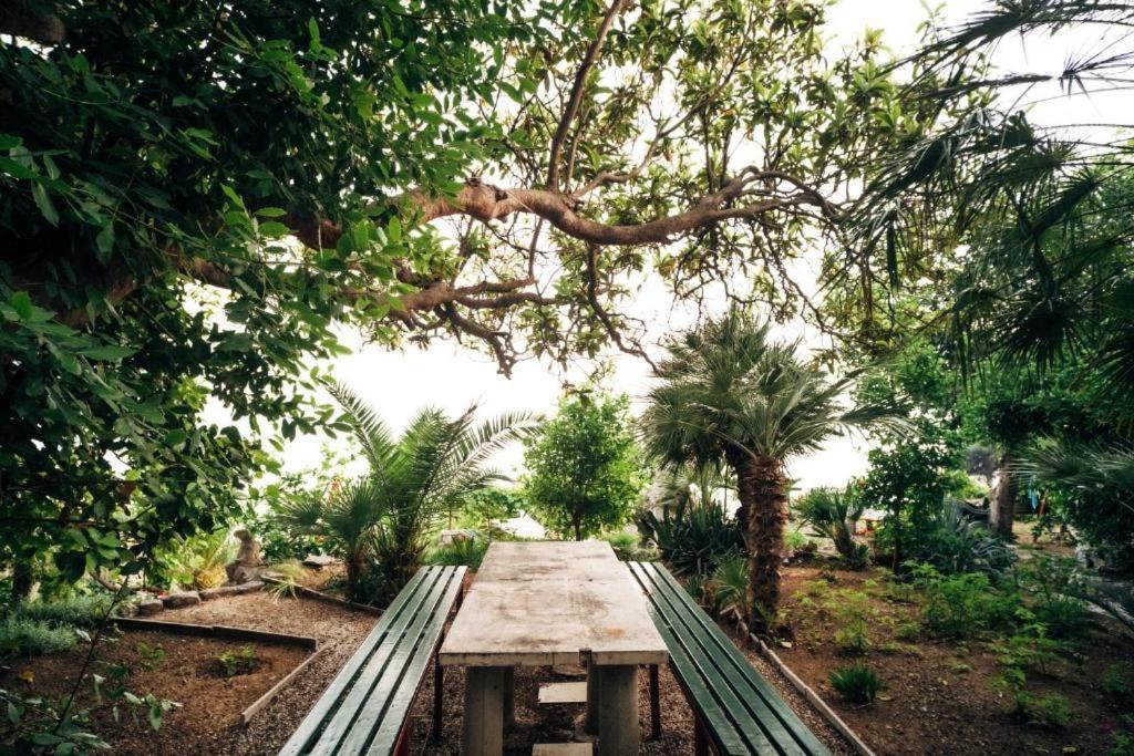 Villa Soti Mlini Exterior photo